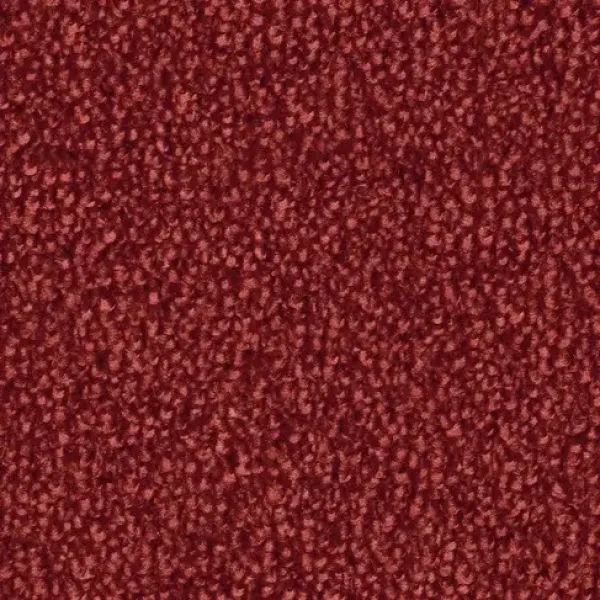 Vorwerk Safira Teppichboden Farbcode 1N27 – Draufsicht ohne Etikett